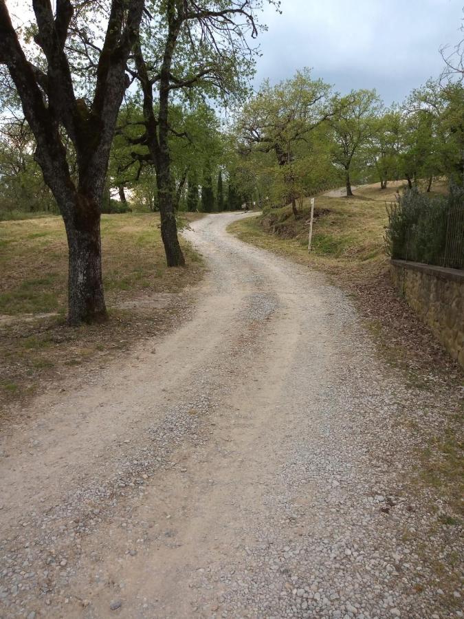 Agriturismo L'Incrociata Bucine Екстер'єр фото